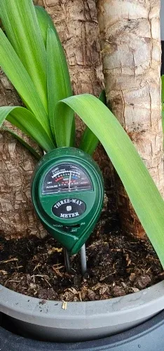 SoilSense 3-in-1 soil meter used by Verified buyer, a verified buyer, in a real houseplant