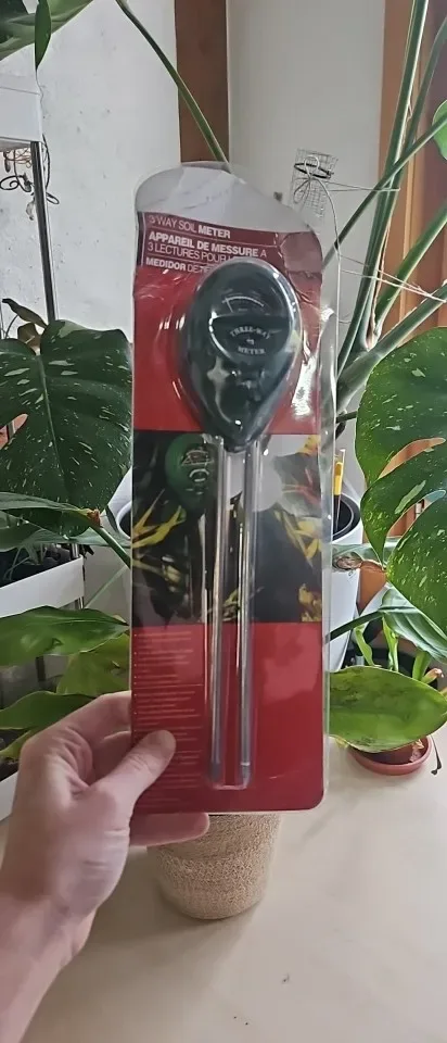 SoilSense 3-in-1 soil meter used by r***r, a verified buyer, in a real houseplant
