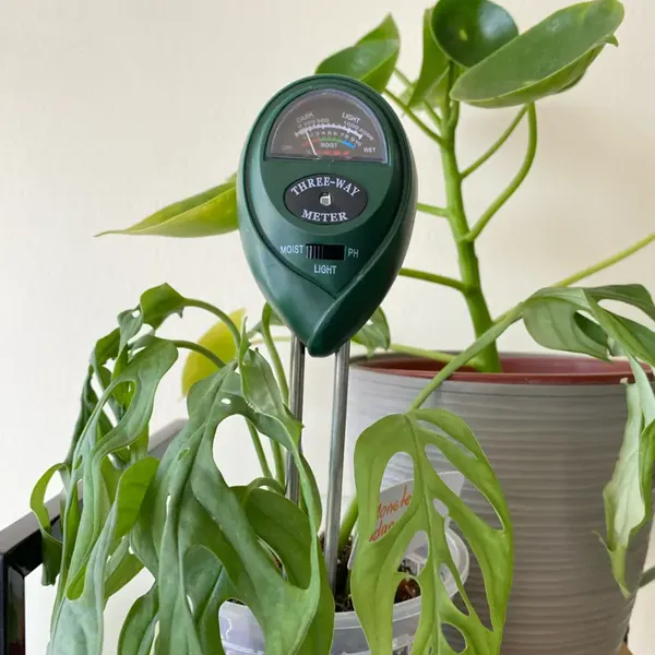 SoilSense soil meter in a monstera, photo by verified buyer Jenna R.