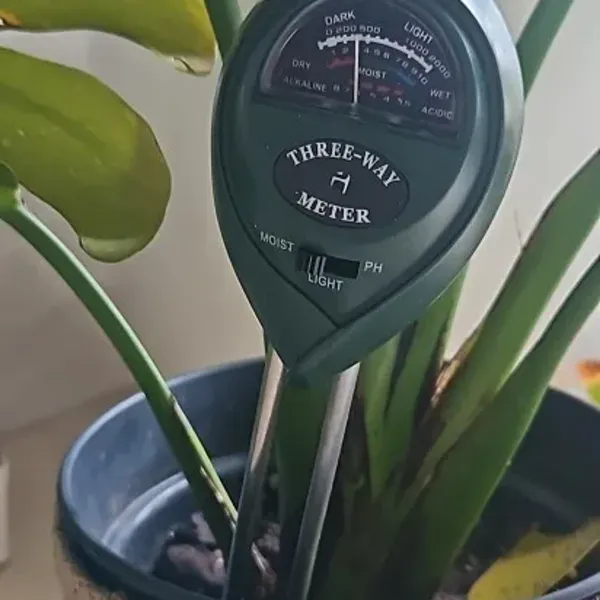 SoilSense soil meter in a potted plant, photo by verified buyer Priya S.